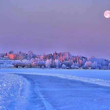 Апартаменты Charming In The French Quarter Of Тампере
