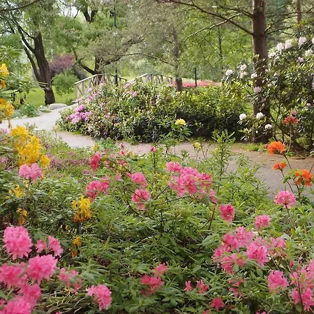 Charming In The French Quarter Of Апартаменты *